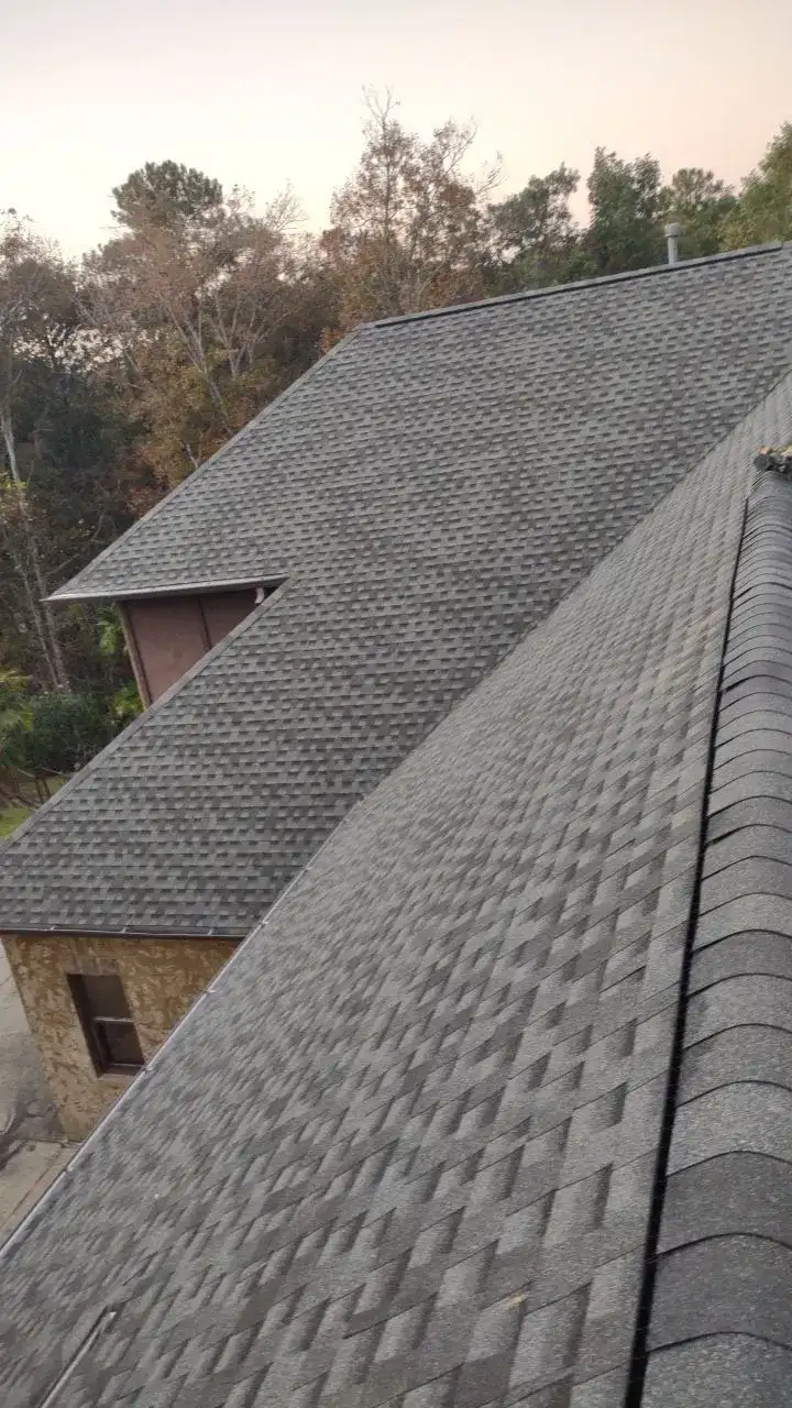 A roof with a shingle pattern, possibly a slate or tile roof, on a building.