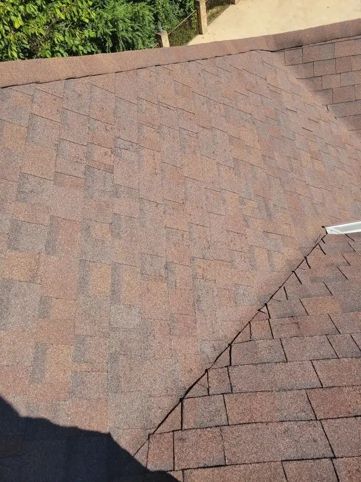 A roof with a shingle on it.